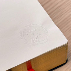 Ex libris gatto disegnato