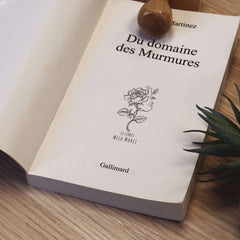 Timbro ex libris rosa nei dettagli
