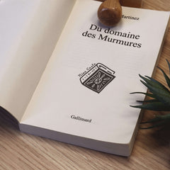 Timbro ex libris libro grande