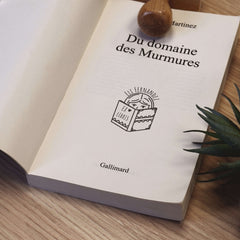 Timbro ex libris lettrice con libro aperto